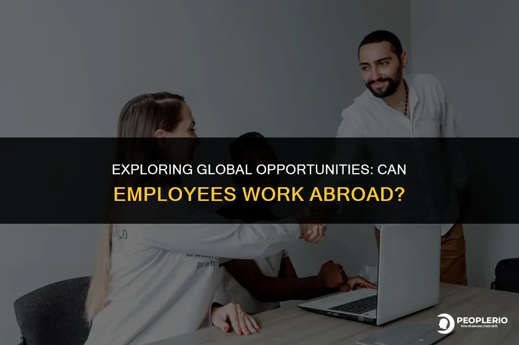 can employee work abroad