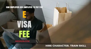 Who Covers the E-Visa Fee: Employer or Employee?