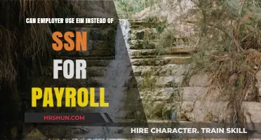 Can Employers Use EIN Instead of SSN for Payroll Purposes?