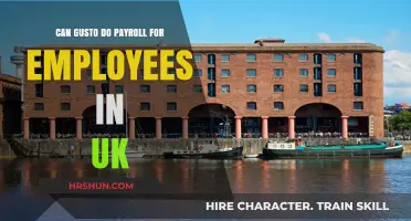 Gusto Payroll Services: A Comprehensive Guide for UK Employees