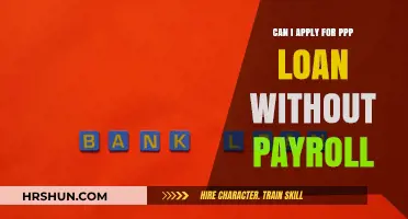 Exploring PPP Loan Eligibility Without Payroll: A Comprehensive Guide