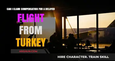 Delayed Flight from Turkey: Your Guide to Claiming Compensation