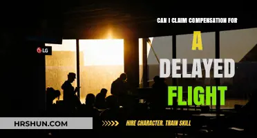 Delayed Flight Dilemma: Your Guide to Claiming Compensation