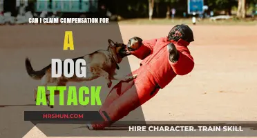 Seeking Justice: Can You Claim Compensation for a Dog Attack?