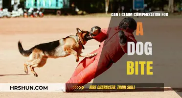 Seeking Justice: Can You Claim Compensation for a Dog Bite?