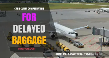 Delayed Baggage Dilemma: Your Guide to Claiming Compensation