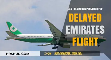 Delayed Emirates Flight? Here's How to Claim Compensation