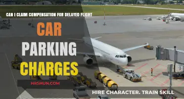 Delayed Flight, Unexpected Costs: Can You Claim Compensation for Parking Charges?