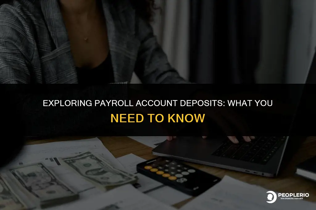 can i deposit in my payroll account