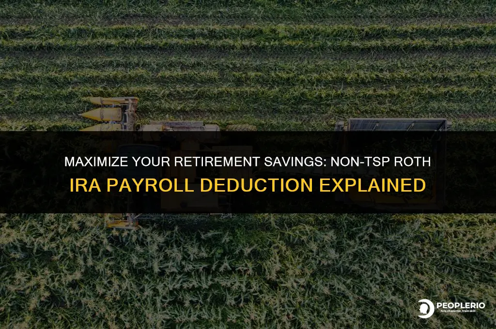can i do a non-tsp roth ira payroll deduction