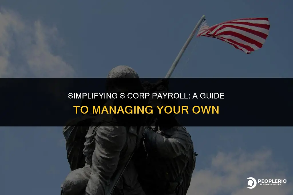 can i do my own payroll for s corp