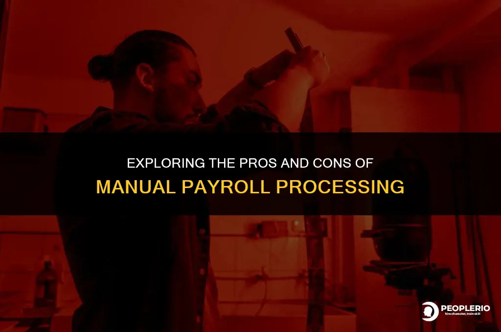 can i do payroll manually
