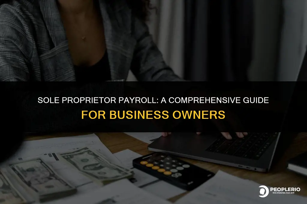 can i do payroll with a sole proprieter