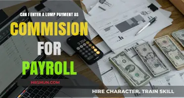 Navigating Payroll: Lump Payments vs. Commissions Explained