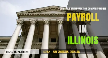Navigating Bankruptcy Options for Unpaid Payroll in Illinois