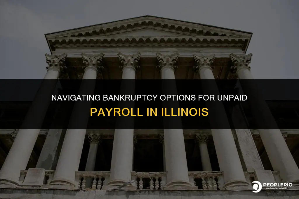 can i file bankruptcy on company unpaid payroll in illinois