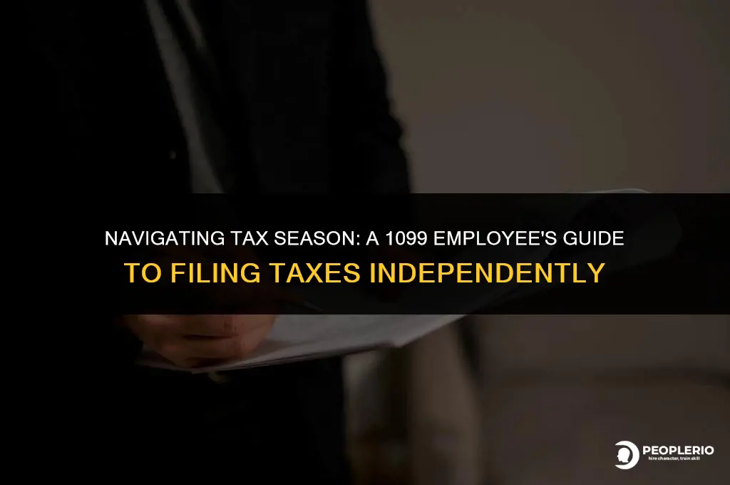 can i file my own taxes as 1099 employee