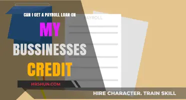 Exploring Payroll Loans: Options for Business Credit Financing