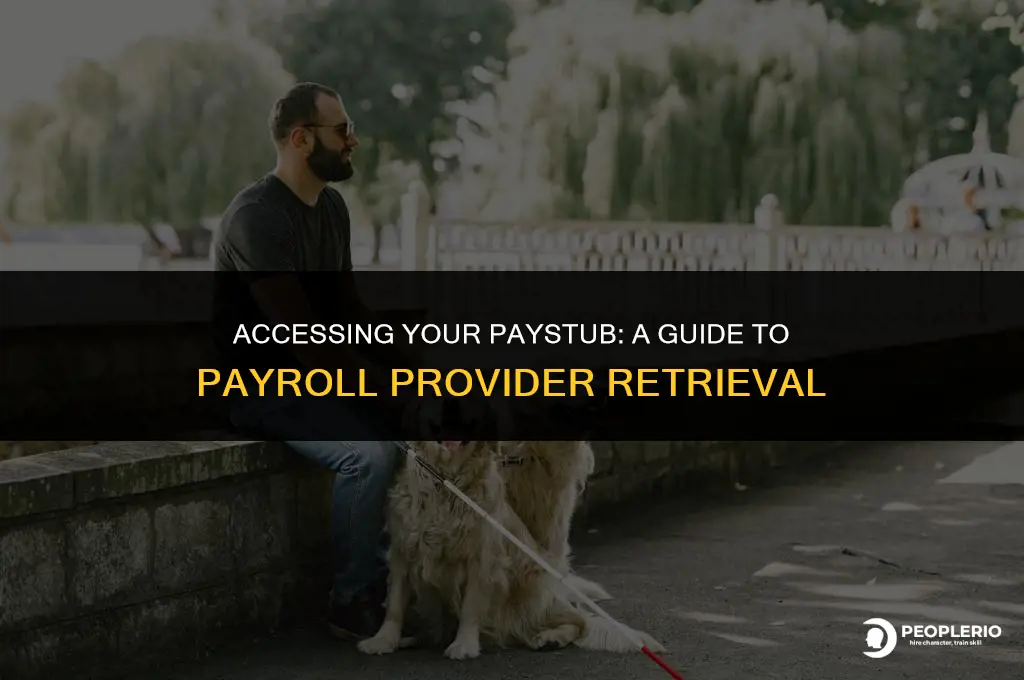 can i get my paystub from payroll provider
