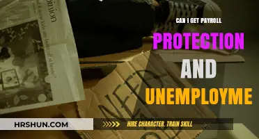 Navigating Financial Safety Nets: Payroll Protection and Unemployment Benefits