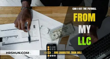 Understanding Payroll Distribution in Your LLC: A Comprehensive Guide