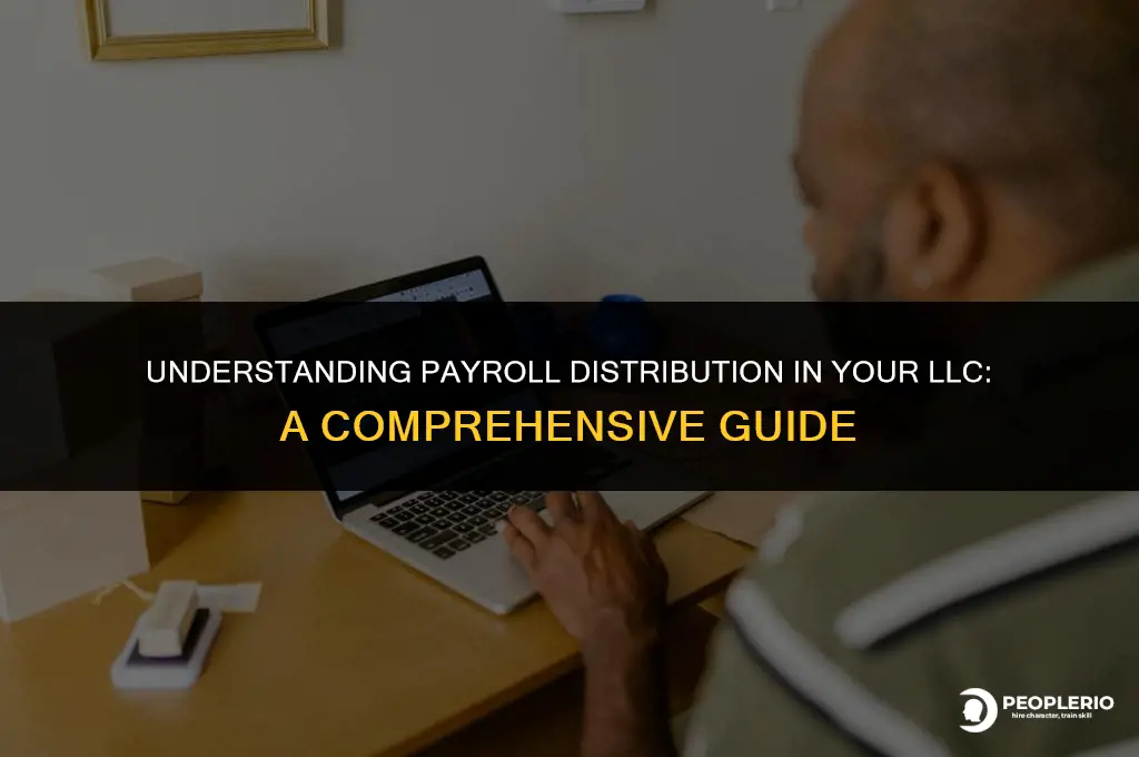 can i get the payroll from my llc