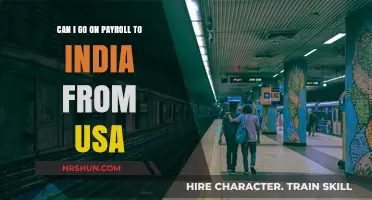 Navigating Payroll Transitions: USA to India Guide