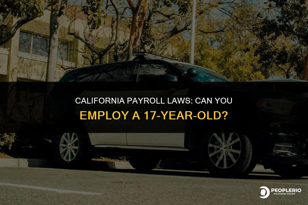 can i have a 17 year old on payroll california
