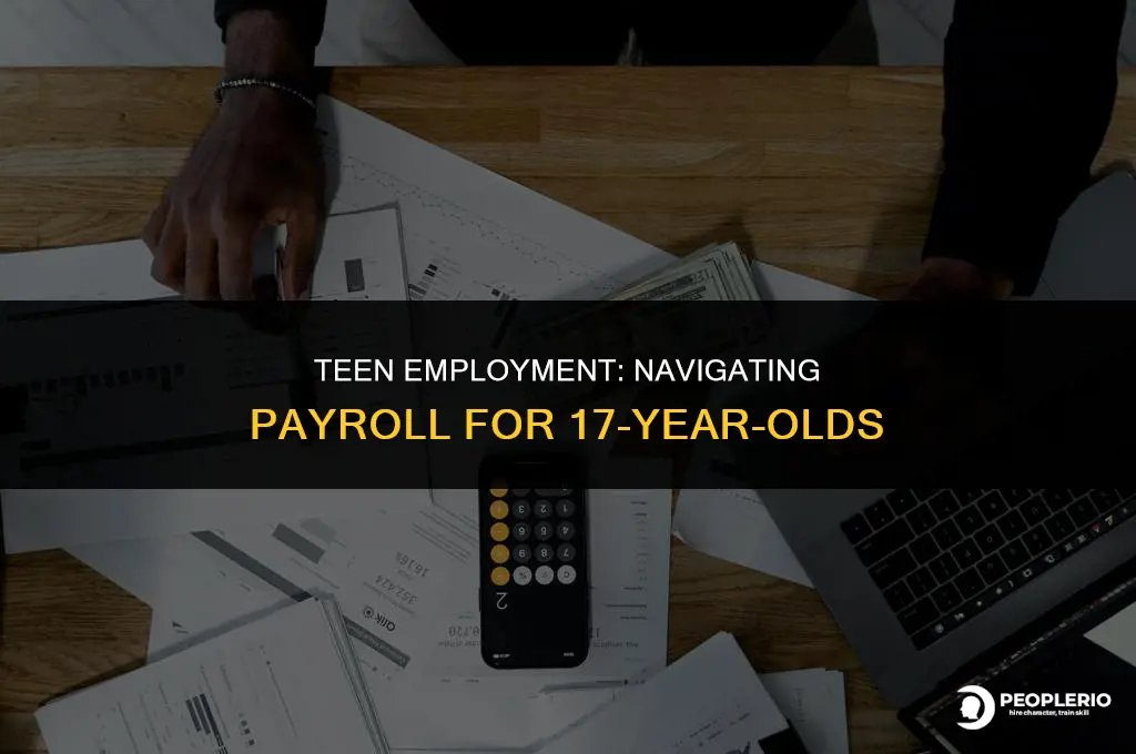 can i have a 17 year old on payroll