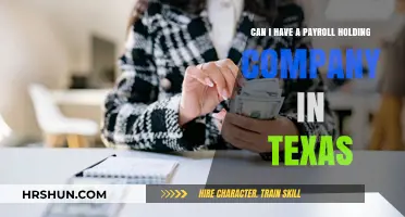 Texas Payroll Holding Company: Legal Insights and Setup Guide