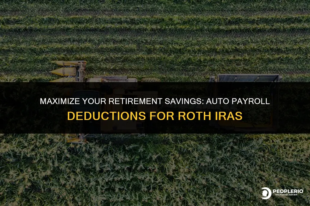can i have auto payroll deductions in a roth ira
