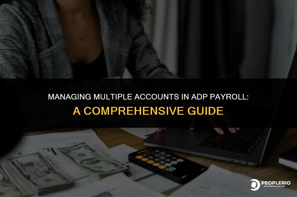 can i have multiple account in adp payroll