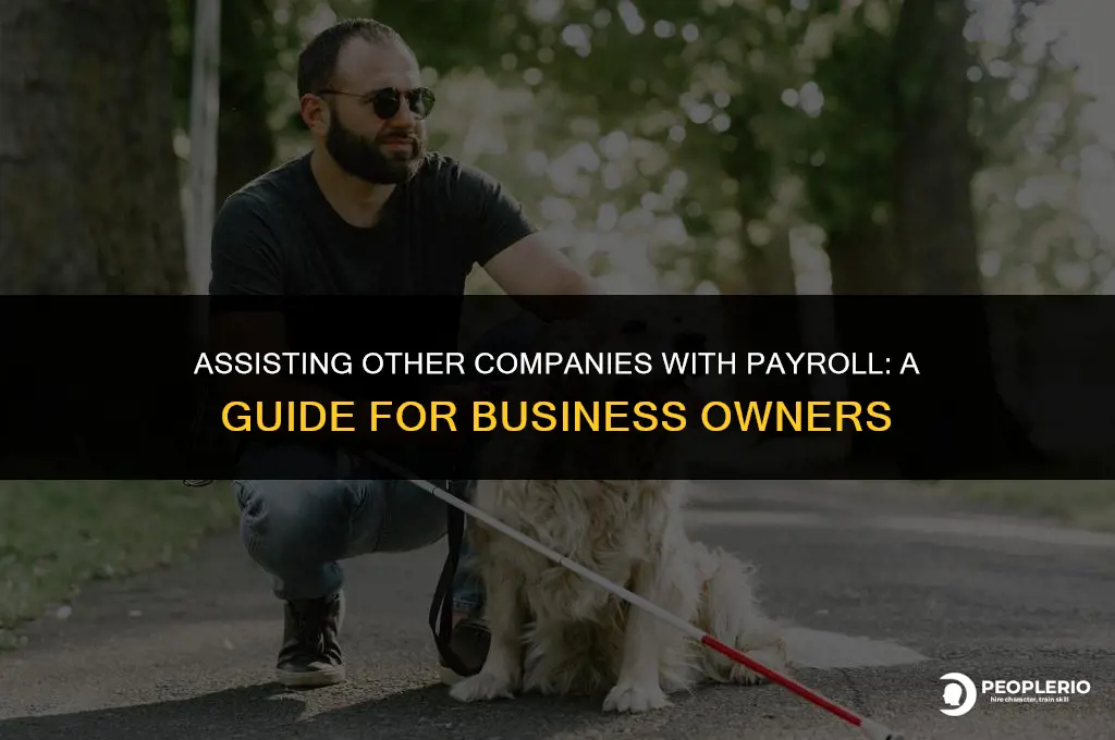 can i help other company do payroll