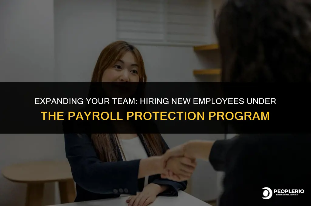 can i hire new employees under the payroll protection program