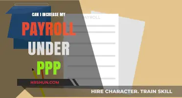 Maximizing Payroll Under PPP: Strategies for Business Owners