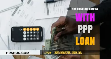 Boosting Payroll with PPP Loans: A Comprehensive Guide for Businesses