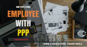 Navigating PPP Loans: Can You Pay 1099 Employees?