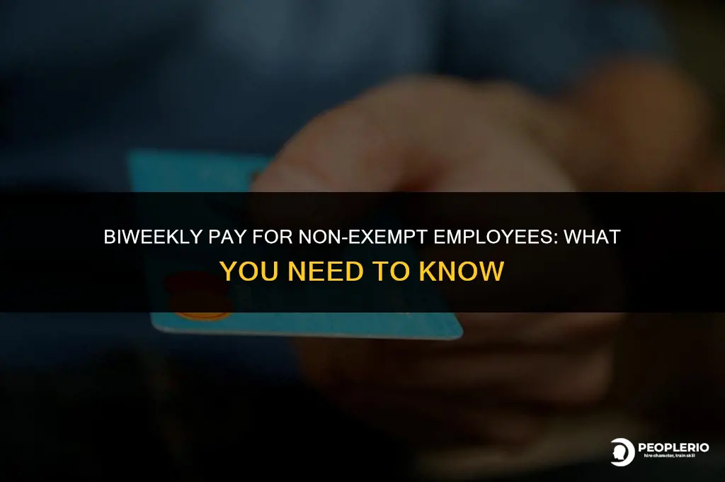 can i pay a salary non-exempt employee every two weeks