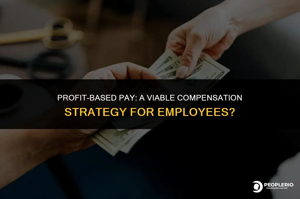 can i pay an employee based on profit