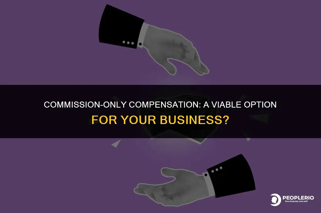 can i pay an employee commission only