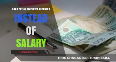 Navigating Employee Compensation: Expenses vs. Salary Explained
