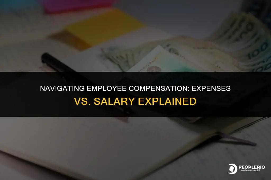 can i pay an employee expenses instead of salary