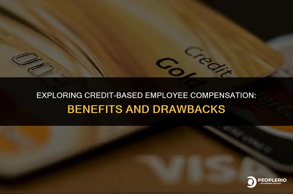 can i pay an employee using credit