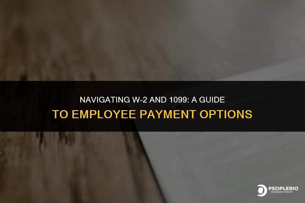 can i pay an employee w2 and 1099