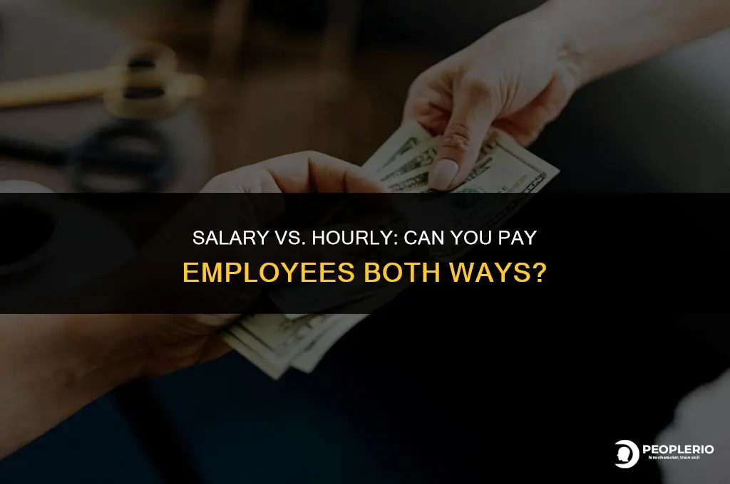 can i pay employee both salary and hourly