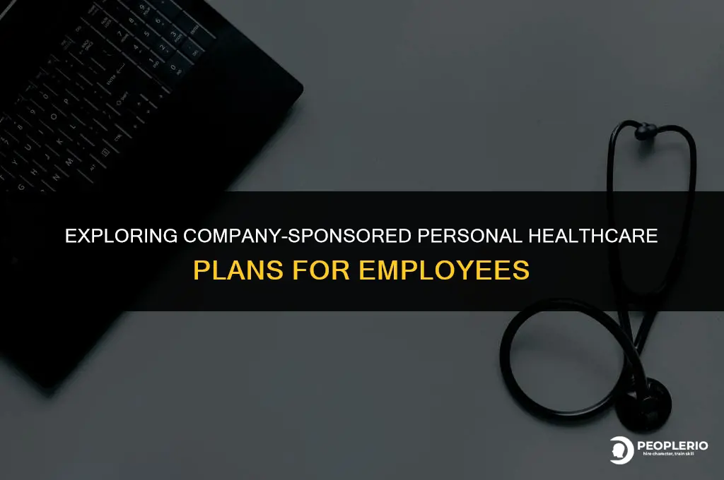 can i pay for employee personal healthcare plan through company