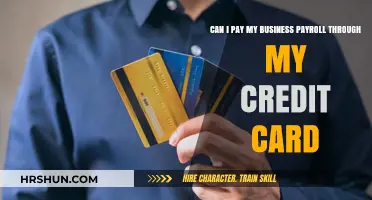 Exploring Payroll Payment Options: Credit Cards for Business Owners