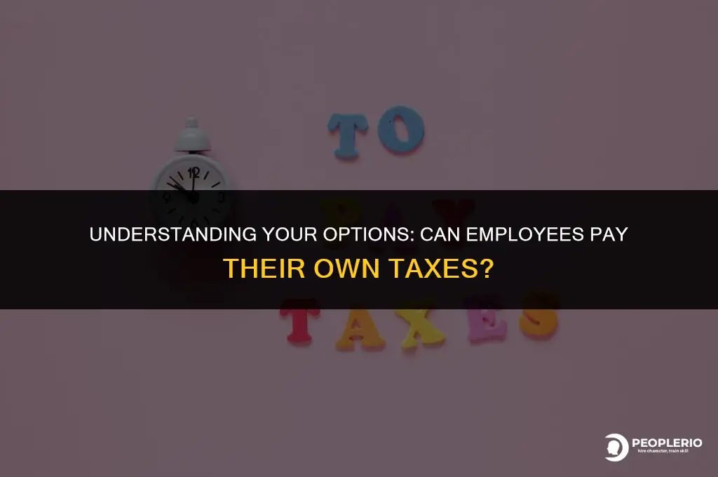 can i pay my own tax as an employee