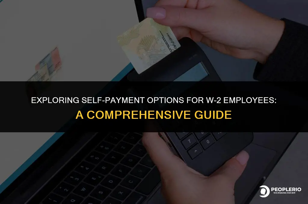 can i pay myself as a w2 employee