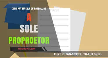 Sole Proprietor Payroll: Can You Pay Yourself and How?
